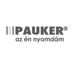 Pauker- Innovációmenedzsment referencia